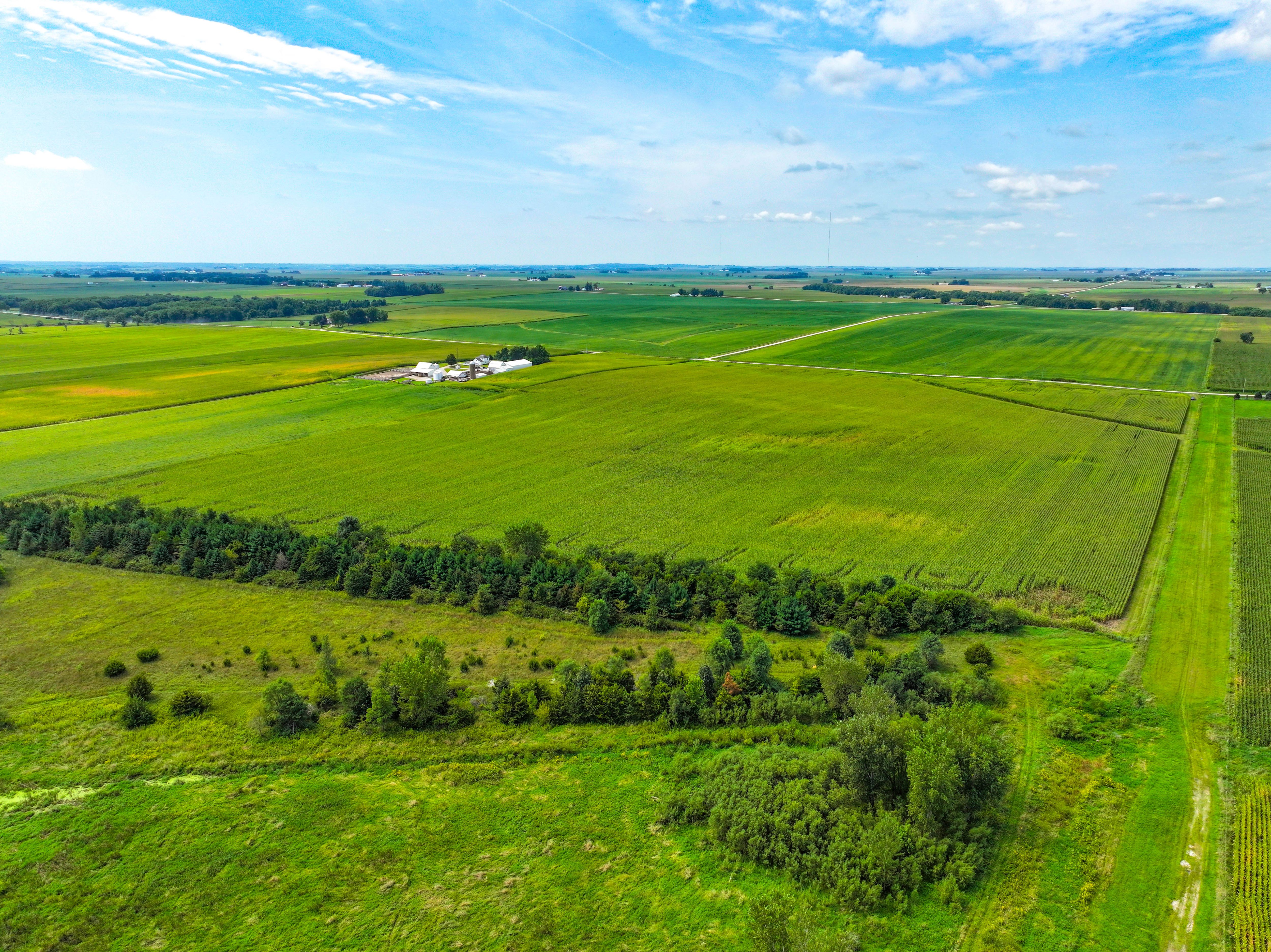 Listing Photo: 08_Buchanan County IA Farmland For Sale